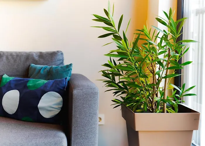 Apartament Monochrome Urban Hoodie